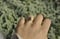 Image of 14k Gold Opalring