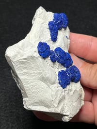 Image 4 of Azurite Suns On Matrix Specimen | NT Australia #2774