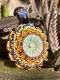 Image 6 of galactic dahlia 