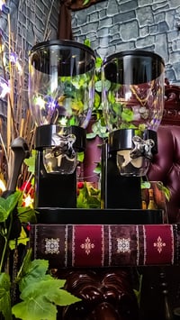 👑The Armored Kingdom Dual Food Dispenser