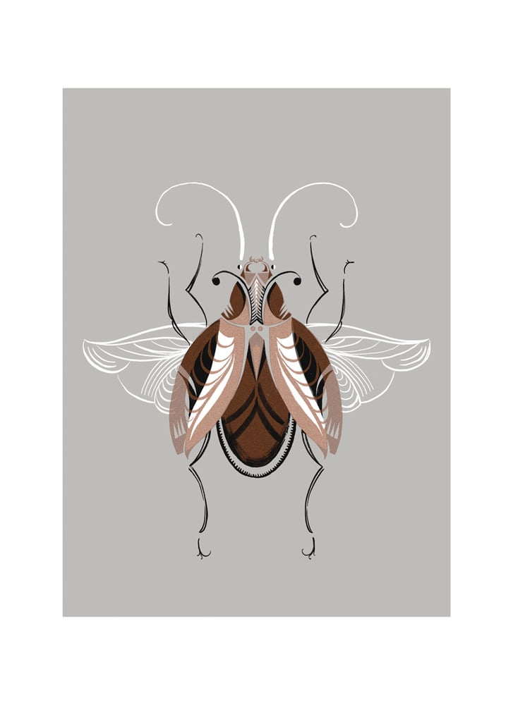 Image of Beetle #6