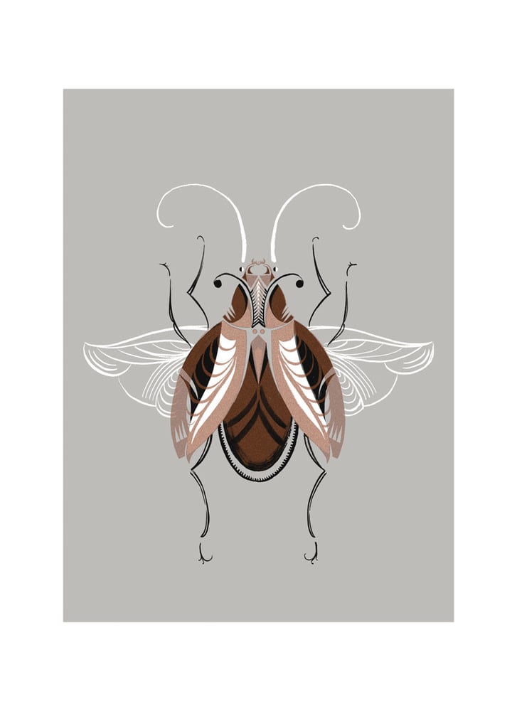 Image of Beetle #6