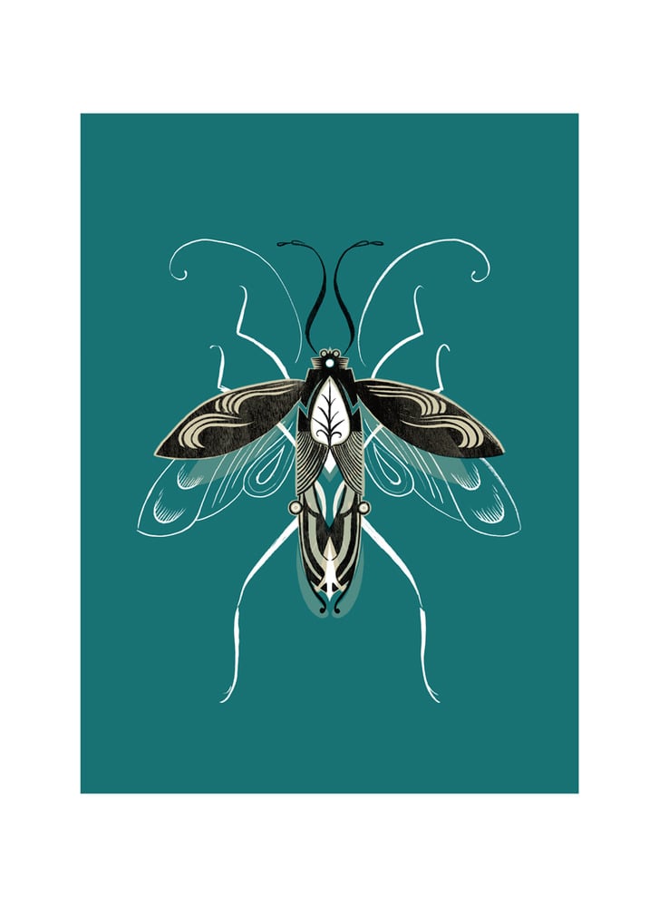 Image of Beetle #5