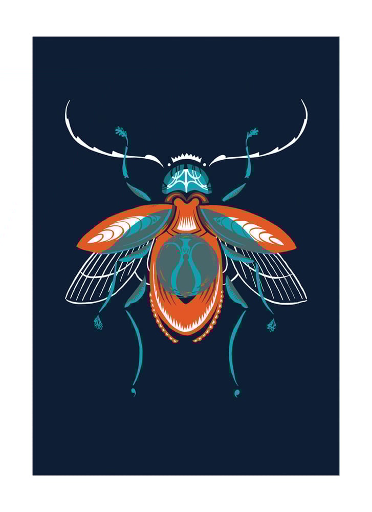 Image of Beetle #4