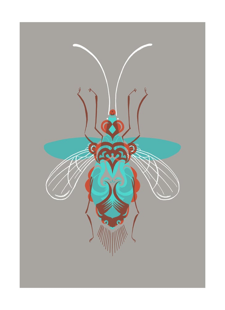 Image of Beetle #3