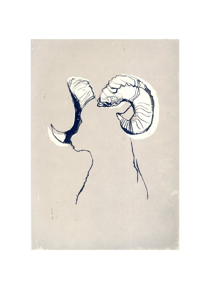 Image of Bighorn Sheep