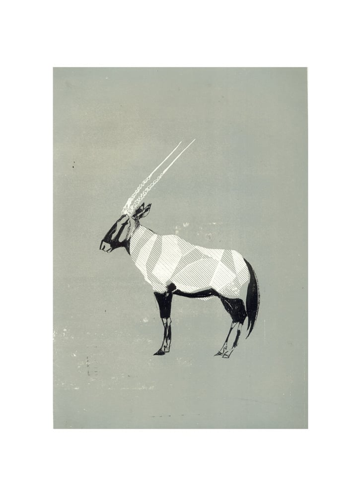 Image of Oryx - Grey