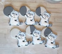 Image 3 of Raccoon Magnets