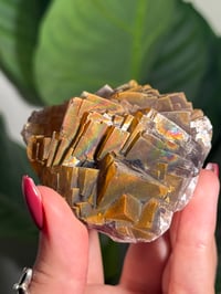 Image 15 of NATURAL RAINBOW IRIDESCENT CUBIC FLUORITE -CHINA- L