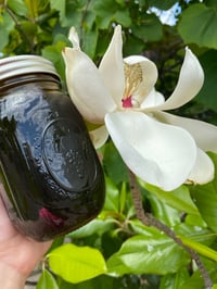 Image 1 of honey 
