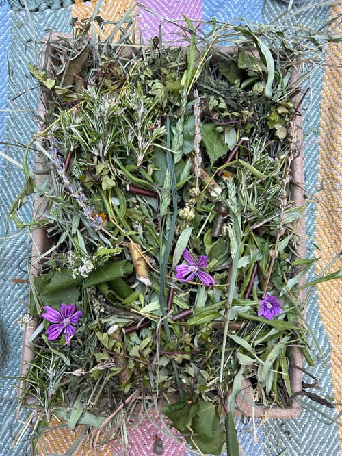 Image of Recycled deep tray filled with mixed dried forage *limited stock!*