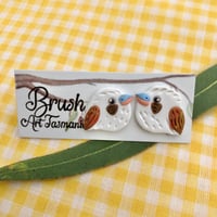 Kookaburra studs