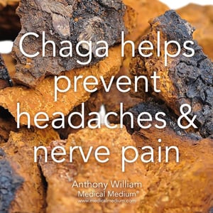 Image of Coffee Alternative l