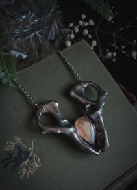 Image 1 of Pelvic bones with labradorite
