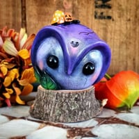 Image 2 of Halloween Owlberry