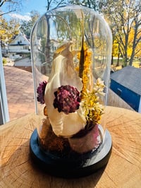 Image 3 of Fox Skull Terrarium 