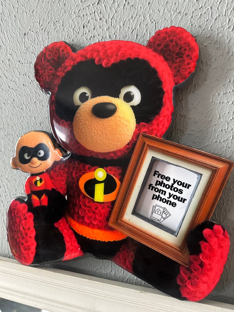The Incredible Love Bear Frame