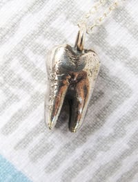 Image 1 of Tooth Necklace
