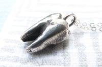 Image 2 of Tooth Necklace
