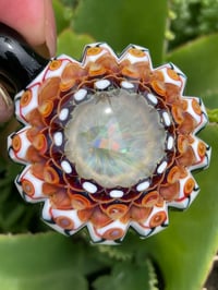 Image 2 of Sol Princess