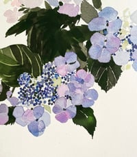 Image 1 of Blue hydrangae original unframed watercolour 