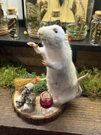 Image 4 of Make your own Taxidermy Mouse Workshop January Available Dates Dates