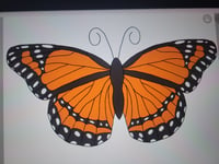 Image of Monarch Butterfly *Pre-Order*