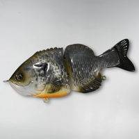 Full Size Gill - Male Coppernose