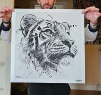Image 2 of Print "Tiger"