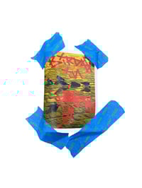 Image 1 of Birds in Pari$