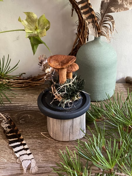 Image of Rustgill mushroom mini cloche