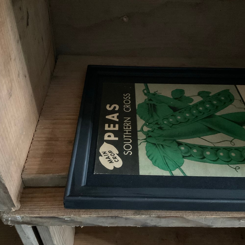 Image of Peas no.2