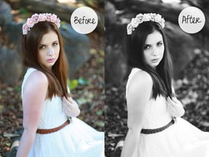 Image of Colourless Colour