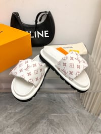 Image 9 of Lv Pillow Slides 