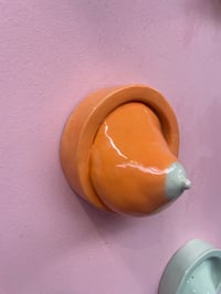 Image 2 of Borst aan de wand, oranje, nr 6