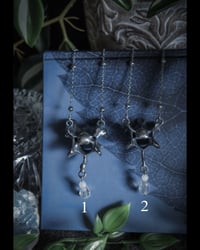 Image 1 of Real vertebrae necklaces