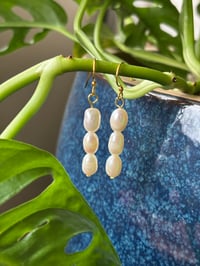 Image 3 of Pearl Drops