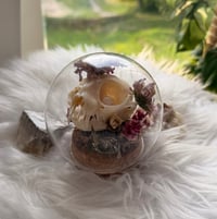 Image 1 of Rose Quartz Kitty