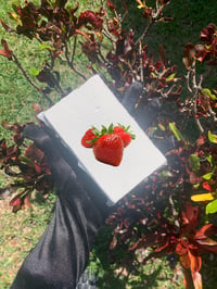 4oz Strawberry Brick