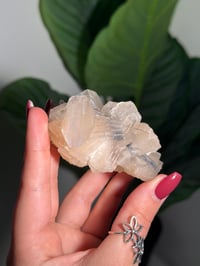 Image 5 of BOWTIE STILBITE X DIAMOND APOPHYLITE -INDIA- A