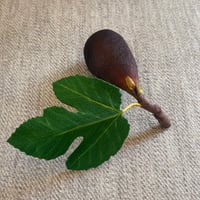 Image 1 of Black Mission Fig