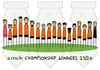 Dundee United Championship Winners