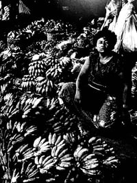 Image 5 of Daido Moriyama "The Tropics"