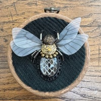 Image 4 of Snake skin bee (a,  3 inches)