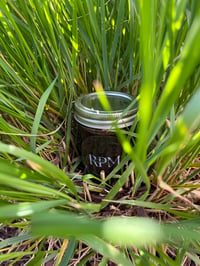 elderberry syrup (8 oz)