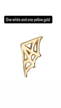 Image 5 of BVLA recently added 