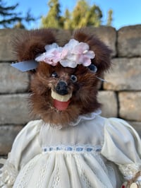 Image 1 of Sweet Pea