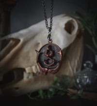 Image 1 of Vertebrae and beetle antler necklace