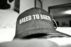 Image of Breed To Death Baseball Hat (Front & Back)