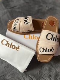 Image 2 of CHLO slides